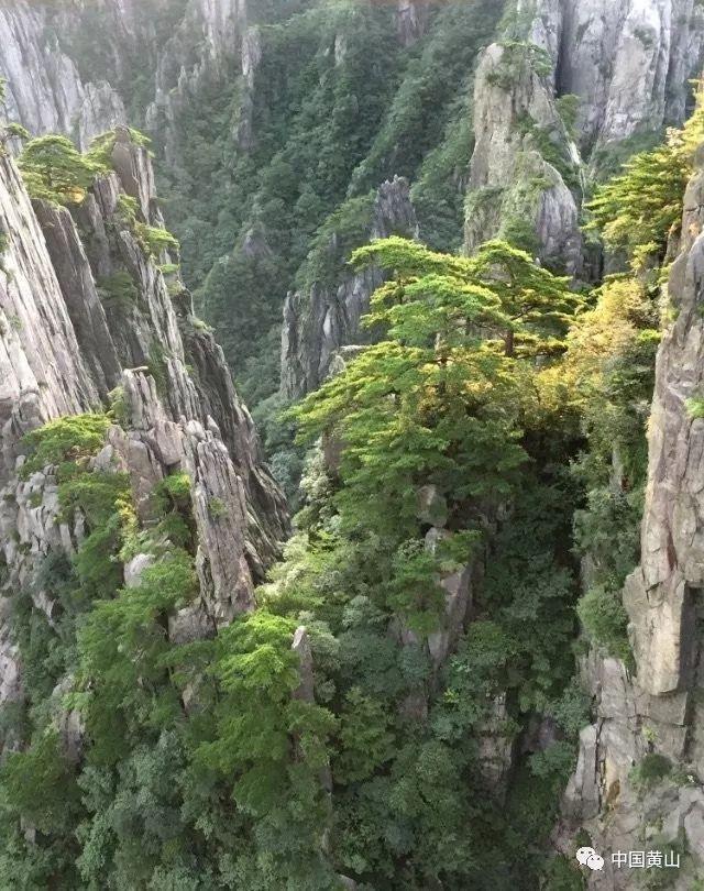 青海法治报丨“六大保护”守护“明天”更美好——“平安青海建设一年进步最快”系列报道之五